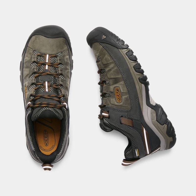 Keen 靴 | キーン ターギー 3 防水 登山 靴 メンズ オリーブ / 黒 | 523718-RSO